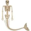 21" Prop Mermaid Skeleton -Animatronics Shop 21 skeleton mermaid prop