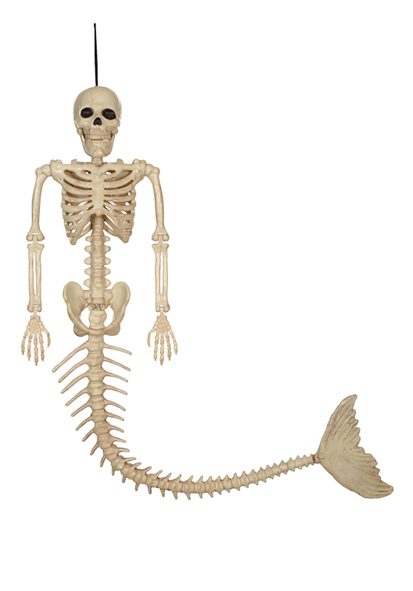 21" Prop Mermaid Skeleton 3 21" Prop Mermaid Skeleton