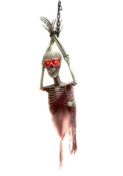 29" Light Up Hanging Torso Skeleton
