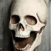 Giant 30 Inch Super Skull Prop