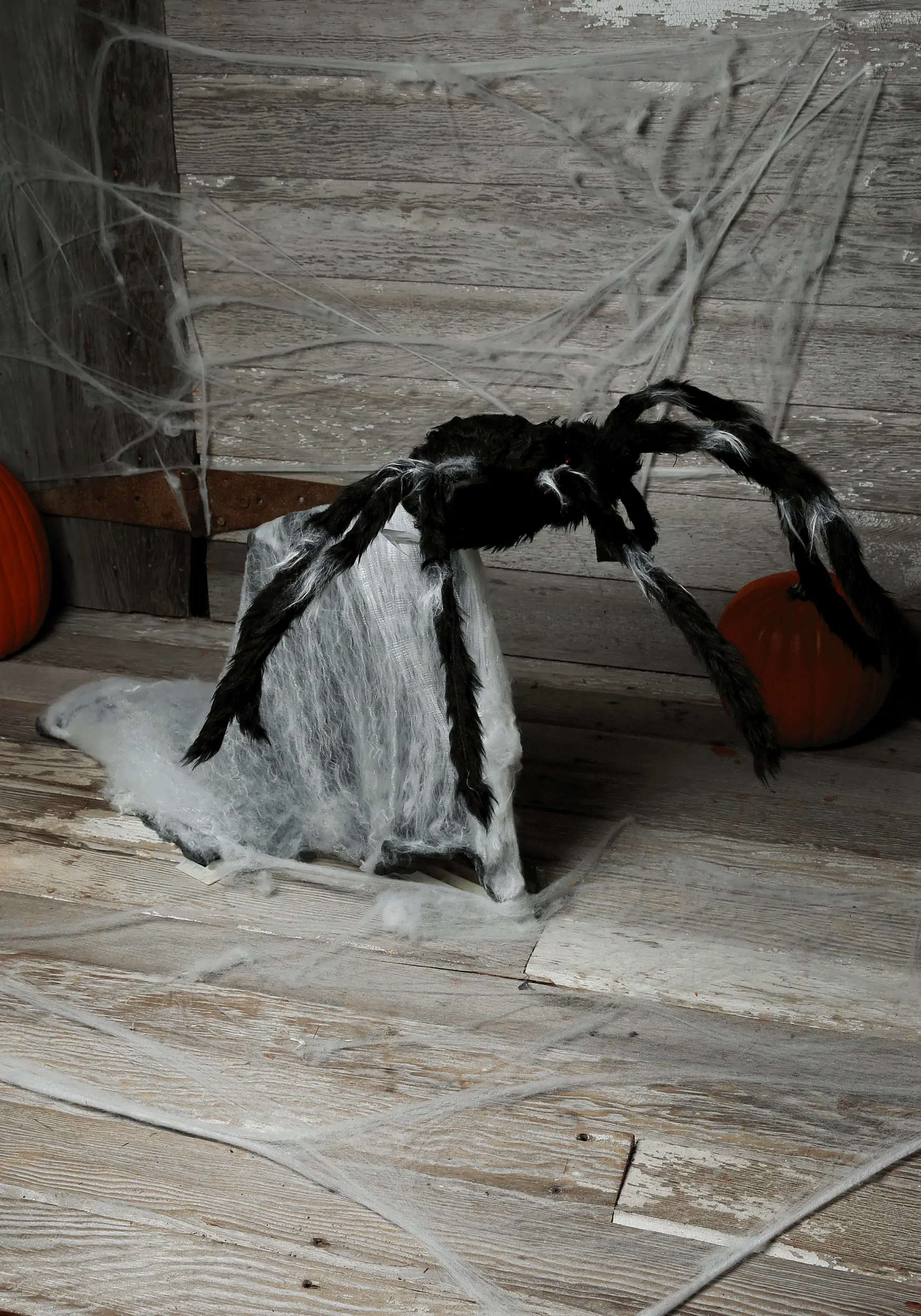 Giant Jumping 36" Spider 3 Giant Jumping 36" Spider