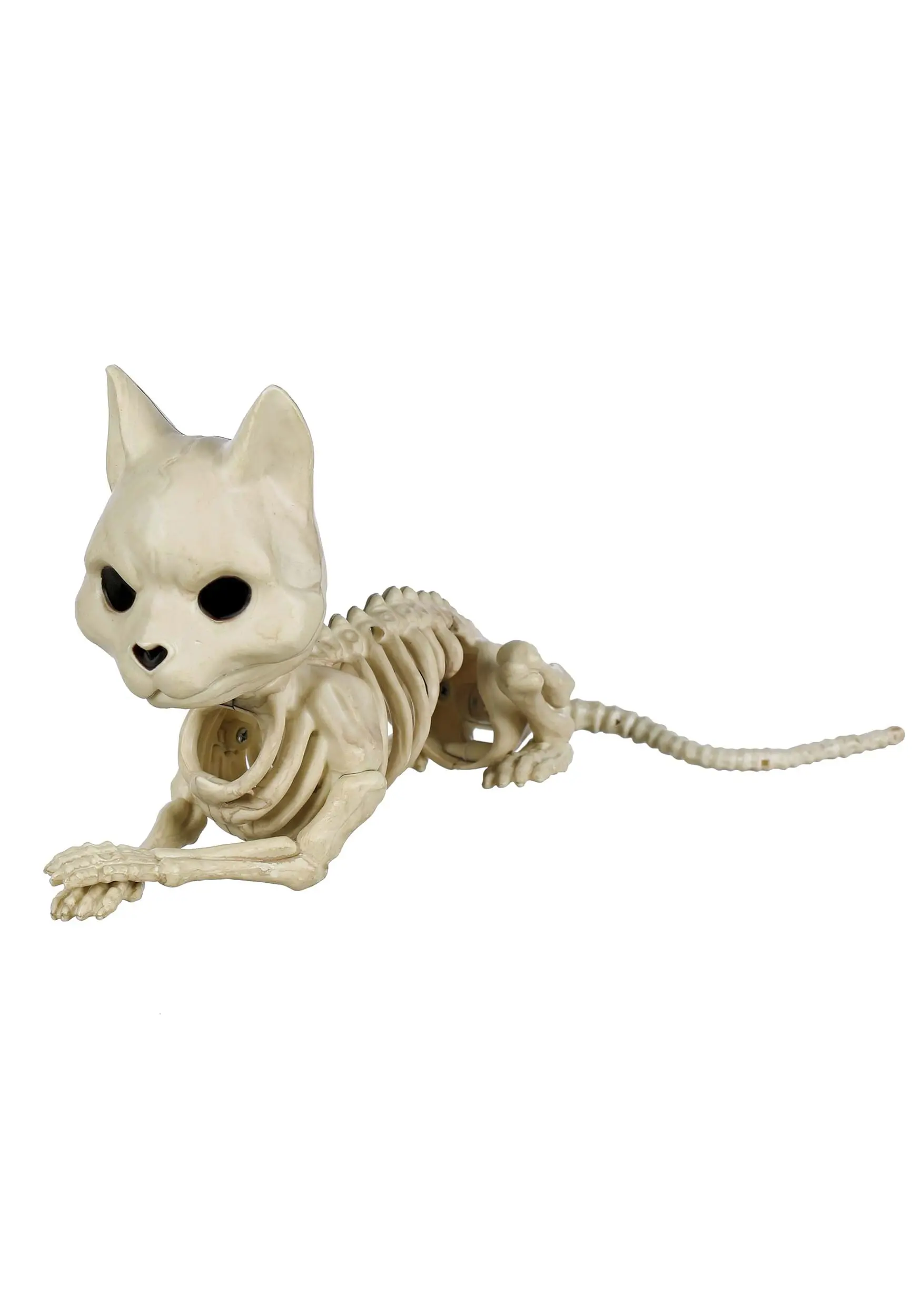 Cute Skeleton Cat Prop Decoration 3 Cute Skeleton Cat Prop Decoration