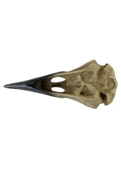 6 Inch Corvus Alchemica Skull Decoration -Animatronics Shop 6 inch corvus alchemia skull alt 2