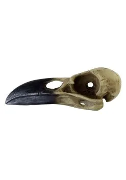 6 Inch Corvus Alchemica Skull Decoration -Animatronics Shop 6 inch corvus alchemia skull alt 3