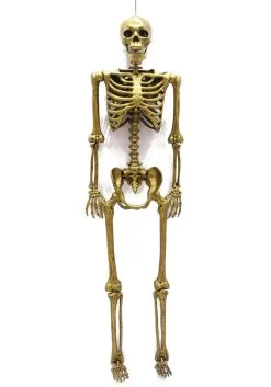 60" Gold Life Size Posable Skeleton Prop -Animatronics Shop 60 gold life size posable skeleton prop alt 2
