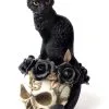 7" Black Cat Sitting Skull Decoration