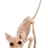 Kitty 7.5" Skeleton -Animatronics Shop 75 kitty skeleton
