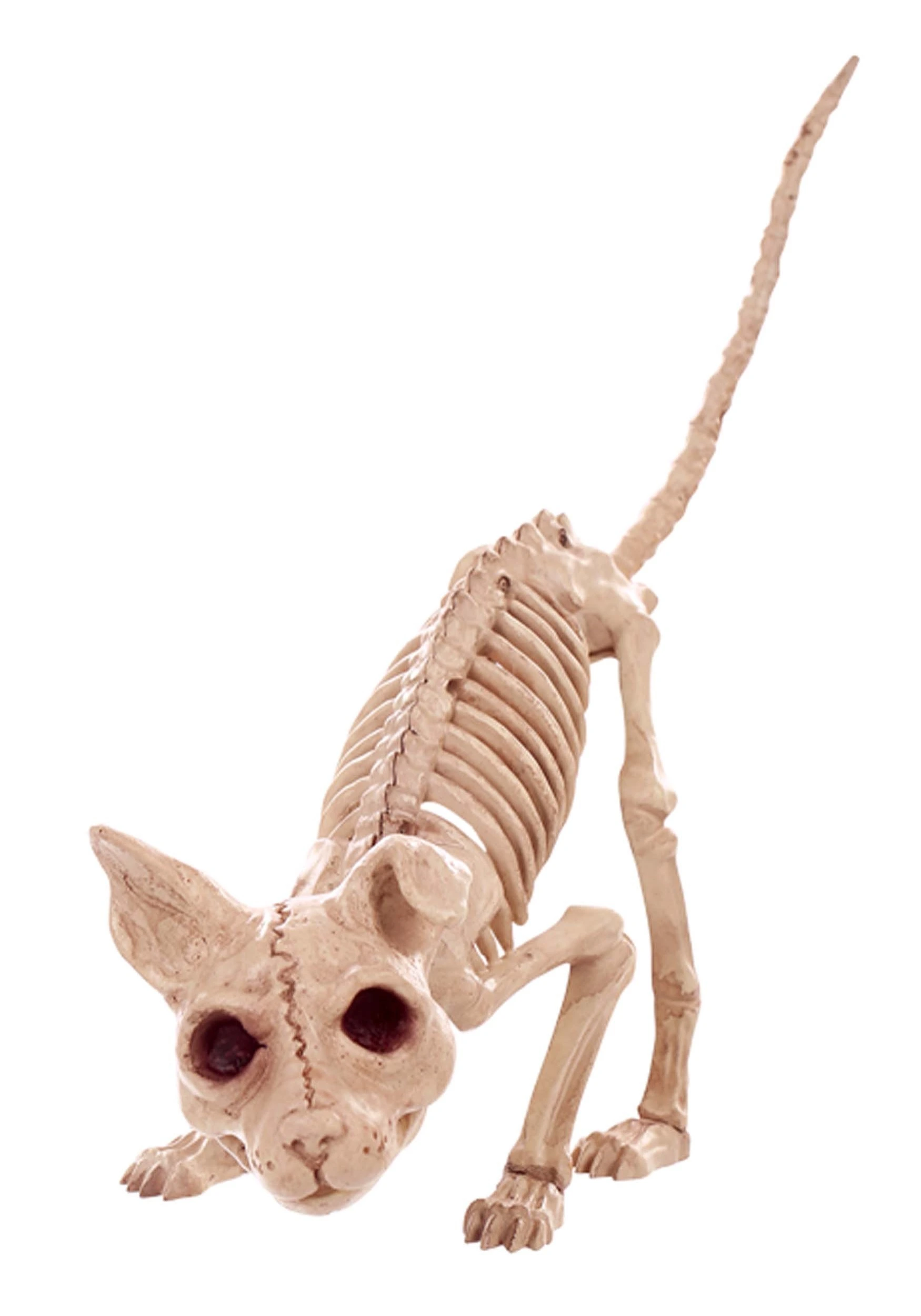 Kitty 7.5" Skeleton 3 Kitty 7.5" Skeleton
