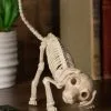 Puppy 7.5" Skeleton 1 Puppy 7.5" Skeleton -Animatronics Shop 75 puppy skeleton