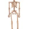 8" Bendable Skeleton 1 8" Bendable Skeleton -Animatronics Shop 8 bendable skeleton