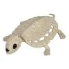 8 Inch Skeleton Turtle -Animatronics Shop 8 inch skeleton turtle