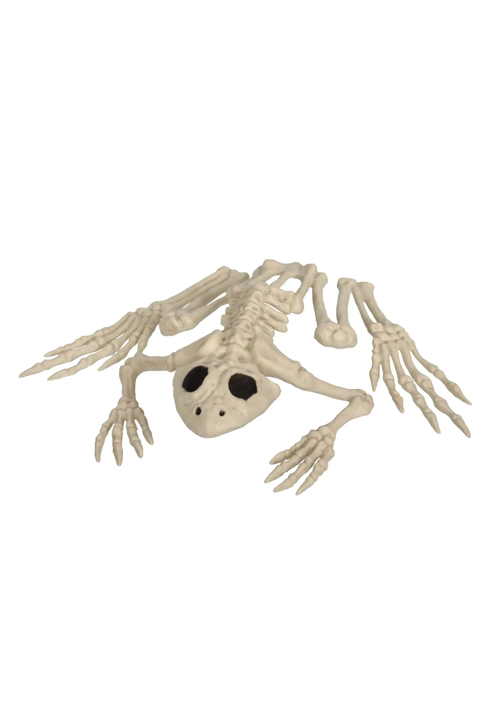 8" Skeleton Frog Decor 3 8" Skeleton Frog Decor
