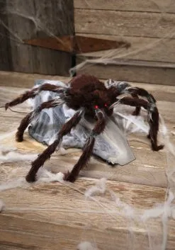 Brown Jumping Animated Spider -Animatronics Shop animated brown jumping spider 1