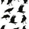 12 Piece Black Crow Stickers Halloween Decoration