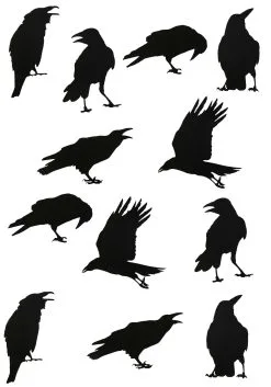 12 Piece Black Crow Stickers Halloween Decoration