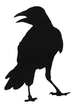 12 Piece Black Crow Stickers Halloween Decoration 14 12 Piece Black Crow Stickers Halloween Decoration -Animatronics Shop crow stickers 12pcs alt 5