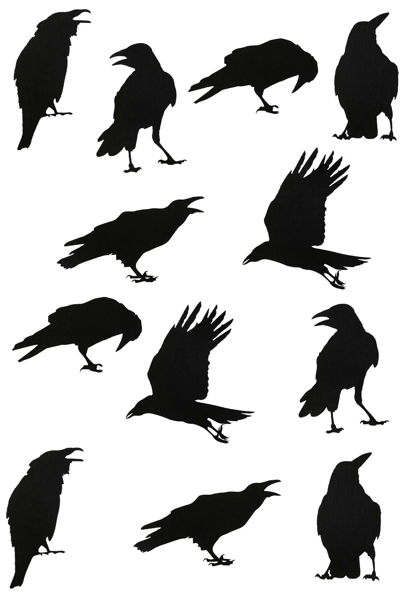 12 Piece Black Crow Stickers Halloween Decoration 3 12 Piece Black Crow Stickers Halloween Decoration