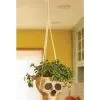 Hanging Bone Color Skull Planter -Animatronics Shop hanging skull bone color planter