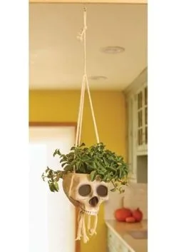 Hanging Bone Color Skull Planter