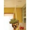 Hanging Gold Color Skull Planter -Animatronics Shop hanging skull gold color planter