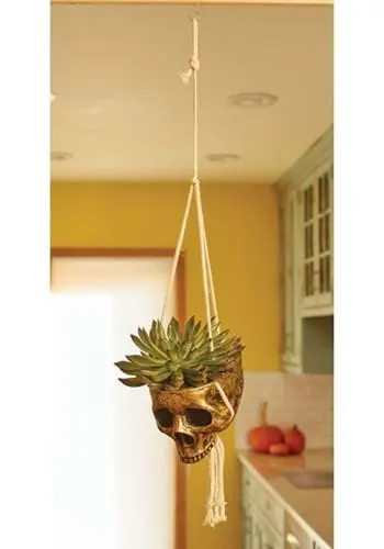 Hanging Gold Color Skull Planter 3 Hanging Gold Color Skull Planter