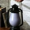 Hidden Ghost Face Light Up Lantern Prop -Animatronics Shop hidden ghost face light up lantern prop