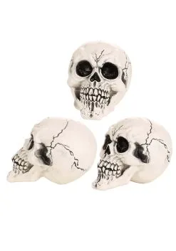 Large 12-Pack Skulls Decoration -Animatronics Shop large skull 12 pack cy21082 alt 3