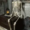 Mr. Crazy Bonez Animated Skeleton 2 Mr. Crazy Bonez Animated Skeleton -Animatronics Shop mr crazy bonez animated skeleton