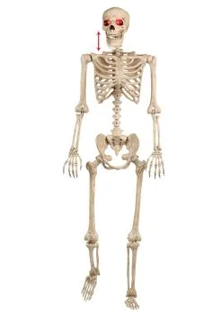 Mr. Crazy Bonez Animated Skeleton -Animatronics Shop mr crazy bonez animated skeleton alt 2