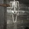Plastic Realistic Skeleton