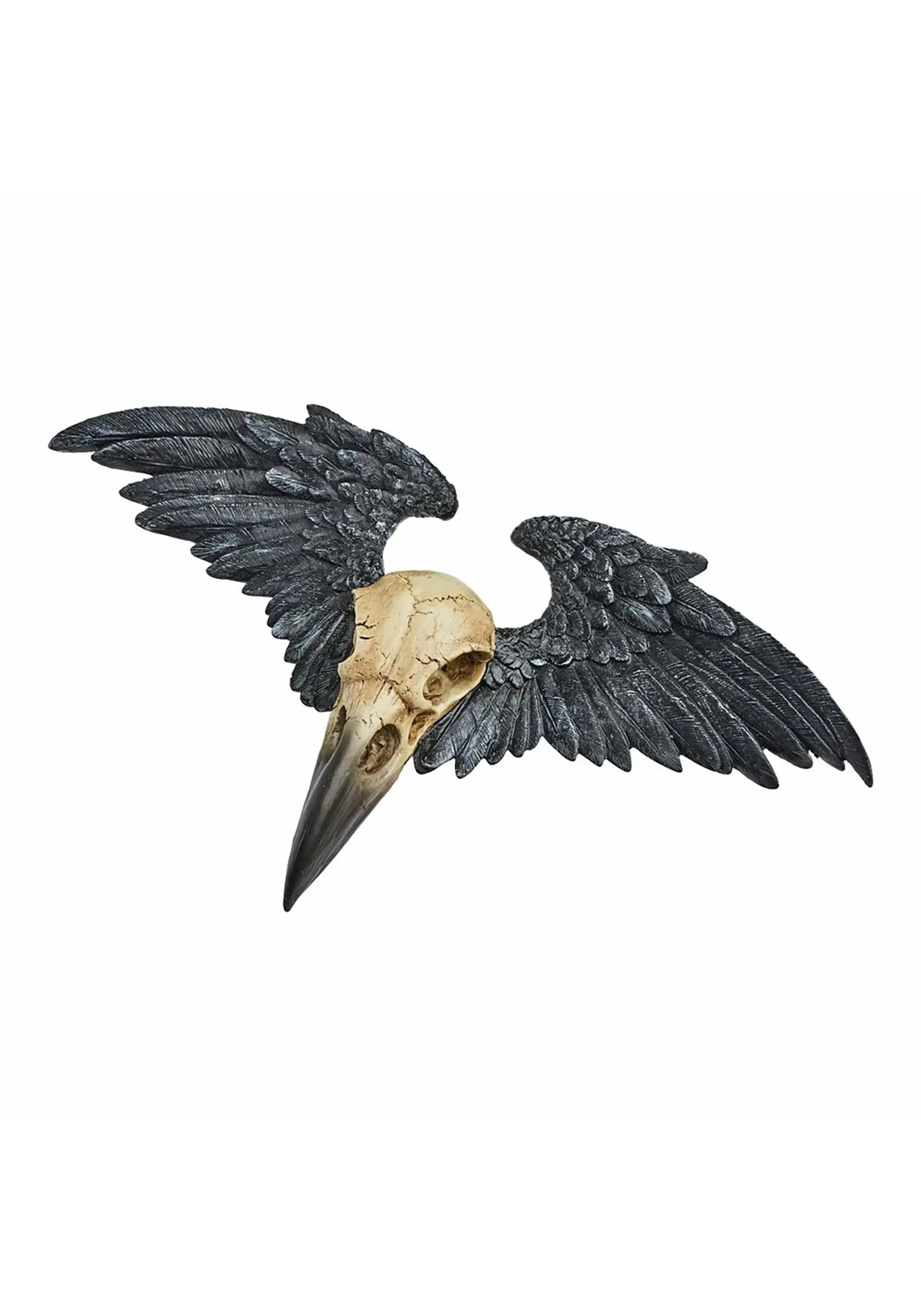 Ravenger Raven Skull Wall Decoration 3 Ravenger Raven Skull Wall Decoration