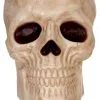 Skull Halloween Candy Bowl -Animatronics Shop skull candy bowl