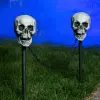Set Of 4 Skull Pathway Lights 1 Set Of 4 Skull Pathway Lights -Animatronics Shop skull pathway lights 4 piece