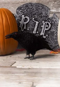 Standing Crow Squawking