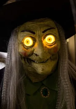 Animated Stirring Up Trouble Witch Decoration -Animatronics Shop stirring up trouble animated witch decoration alt 9